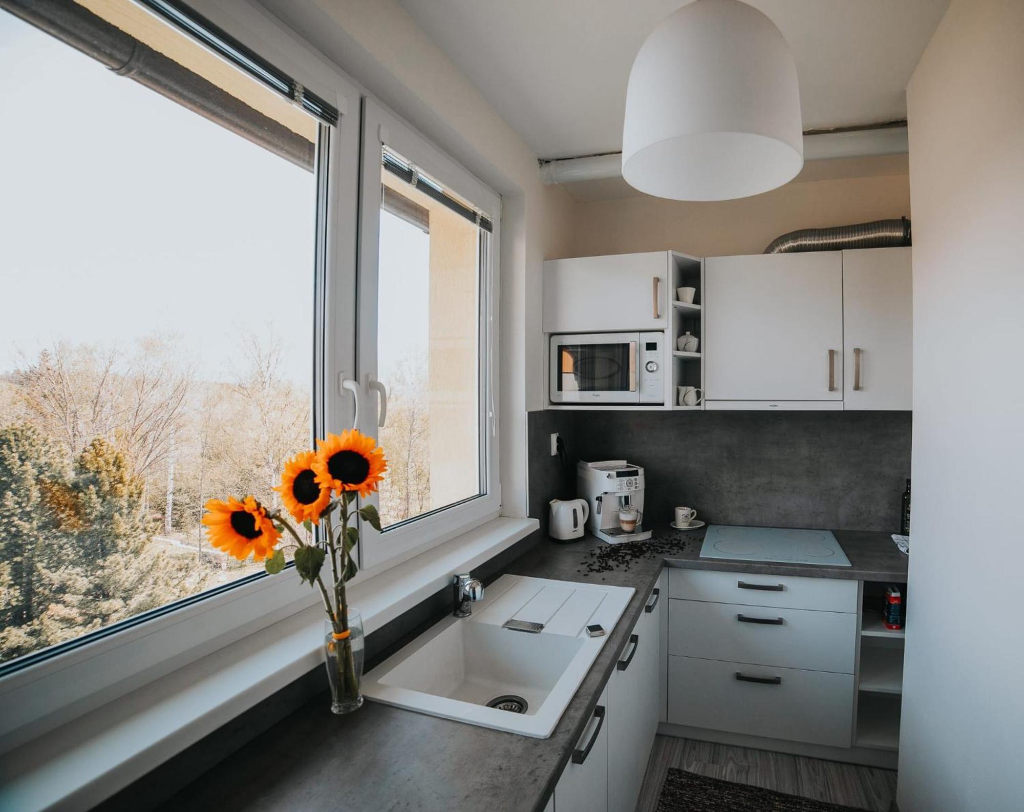 Апартаменти Apartman Tatranska Lomnica Татранська Ломниця
